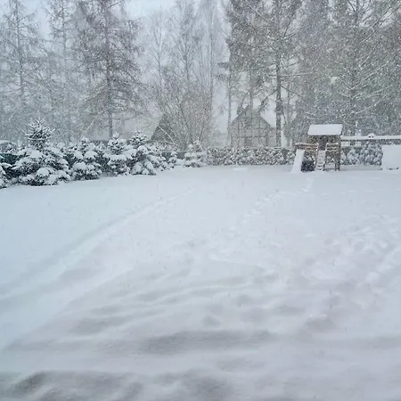 Wejsuniak Mazury *
